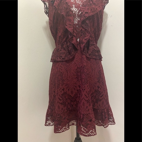 BB Dakota RSVP Lace Dress - Picture 3 of 15